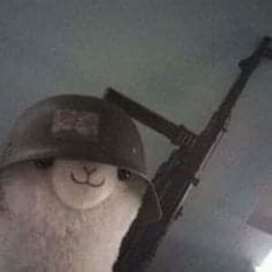 Meet your Posher, Marly